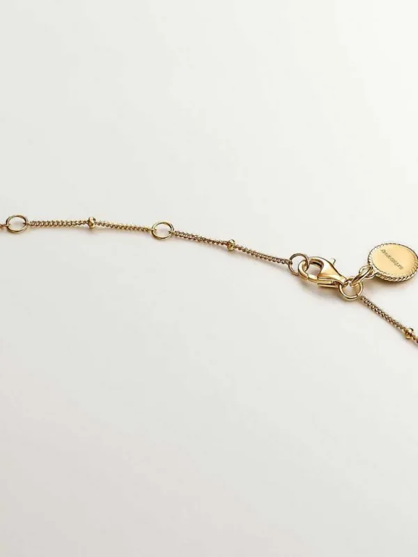 Collares De Plata-Aristocrazy Colgante De Plata 925 Banada En Oro Amarillo De 18K Con Amatista Morada